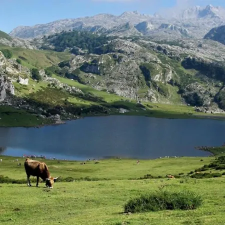 Del Busto - リバデセリャ